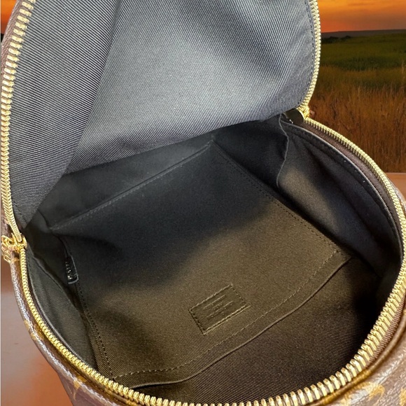 Louis Vuitton Monogram Palm Springs Backpack PM - Picture 13 of 17